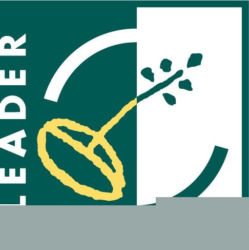 logo mesta vlasim
